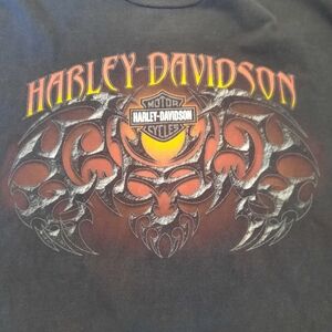 Vintage Harley Davidson Motorcycles Gowanda New York Skull Tribal Size XXXL